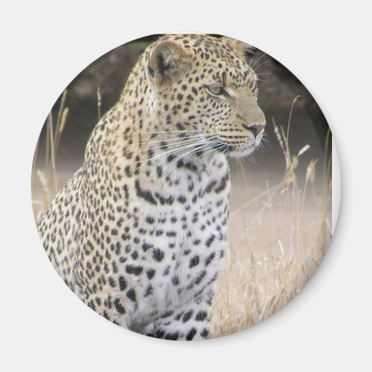 ヒョウ マグネット (正面)