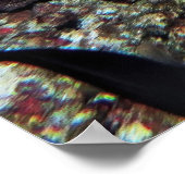 ヒョウ・モレー ポスター (角)