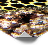 ヒョウ・モレーVII ポスター (角)