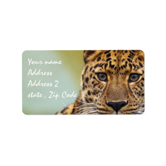 ヒョウ ラベル (正面)