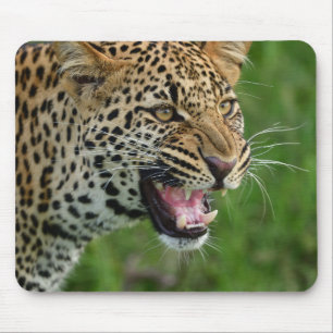 ヒョウ、自然、野生動物 マウスパッド