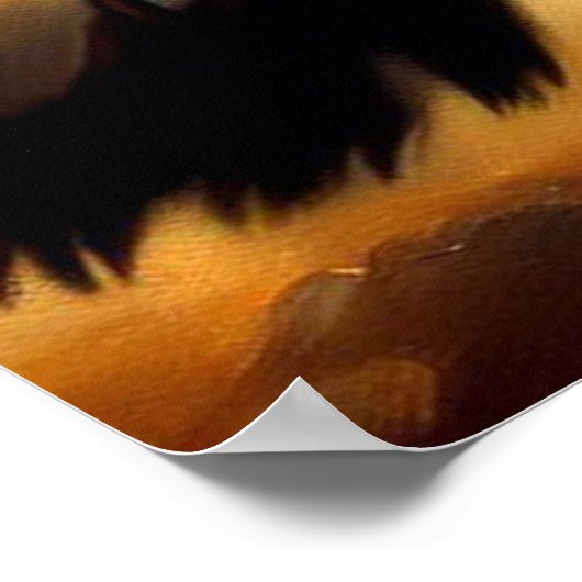 ヒョウ(11)野良猫 ポスター (角)