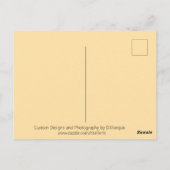 ヒョウ #1 ポストカード (裏面)