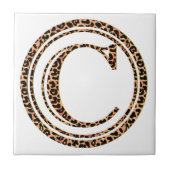 ヒョウC タイル (正面)