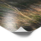 ヒョウCUBパンテラパルダス フォトプリント            (角)