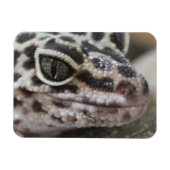 ヒョウGeckoアイズマウス顔クローズアップ マグネット (横)
