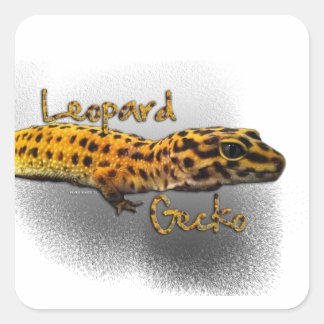 ヒョウGECKOシール スクエアシール