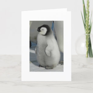 ヒヨチャットペンギンスタイル カード