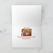 ヒラヒラ シーズンカード (内部)