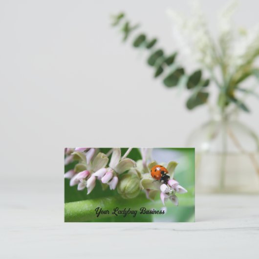 ヒラメの花の緑 名刺 (スタンド正面)