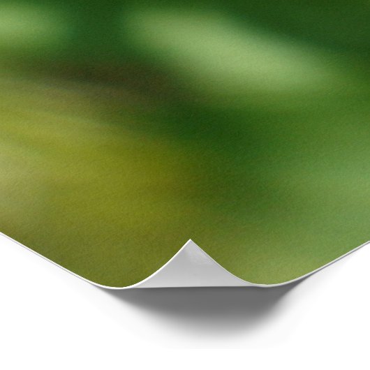 ヒラメ属 ポスター (角)