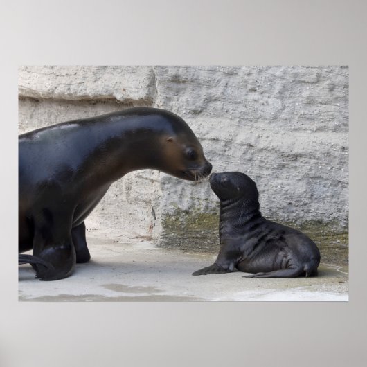 ヒラメ ポスター (正面)