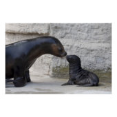 ヒラメ ポスター (正面)