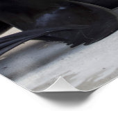 ヒラメ ポスター (コーナー)