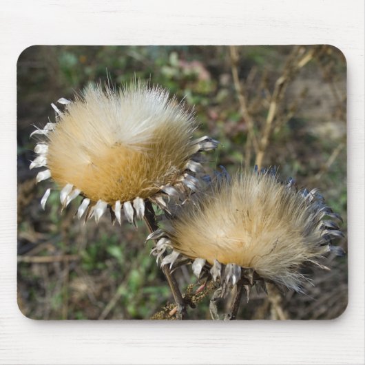 ヒラメ マウスパッド (正面)