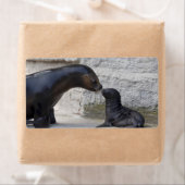 ヒラメ ラベル (インサイチュ)