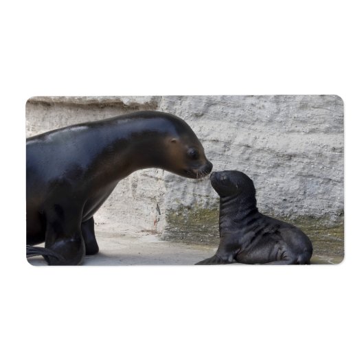 ヒラメ ラベル (正面)