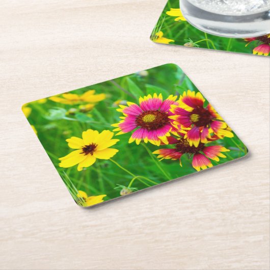 ヒルカントリーの草原の野草 スクエアペーパーコースター (アングル)