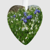 ヒルサイドオブアーリー春の花景観 オーナメント (正面)