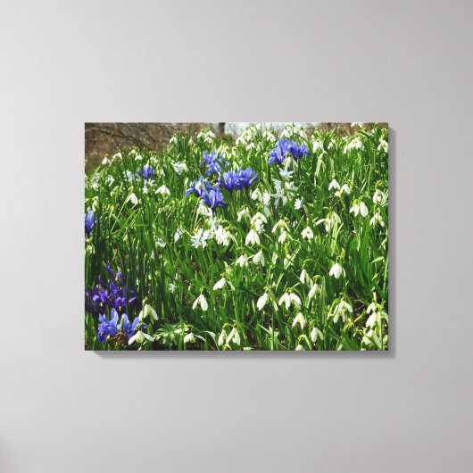 ヒルサイドオブアーリー春の花景観 キャンバスプリント (正面)