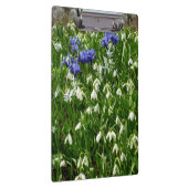 ヒルサイドオブアーリー春の花景観 クリップボード (右)