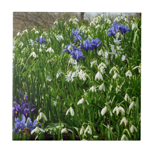 ヒルサイドオブアーリー春の花景観 タイル (正面)