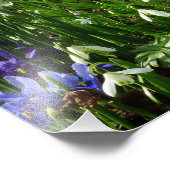 ヒルサイドオブアーリー春の花景観 フォトプリント            (角)