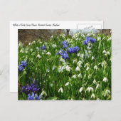 ヒルサイドオブアーリー春の花景観 ポストカード (正面/裏面)