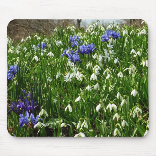 ヒルサイドオブアーリー春の花景観 マウスパッド (正面)