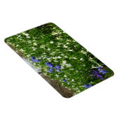 ヒルサイドオブアーリー春の花景観 マグネット (右側)