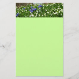 ヒルサイドオブアーリー春の花景観 便箋