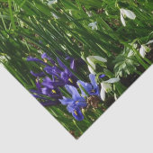 ヒルサイドオブアーリー春の花景観 薄葉紙 (詳細)