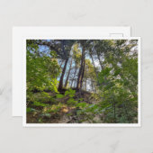 ヒルサイド ポストカード (正面/裏面)