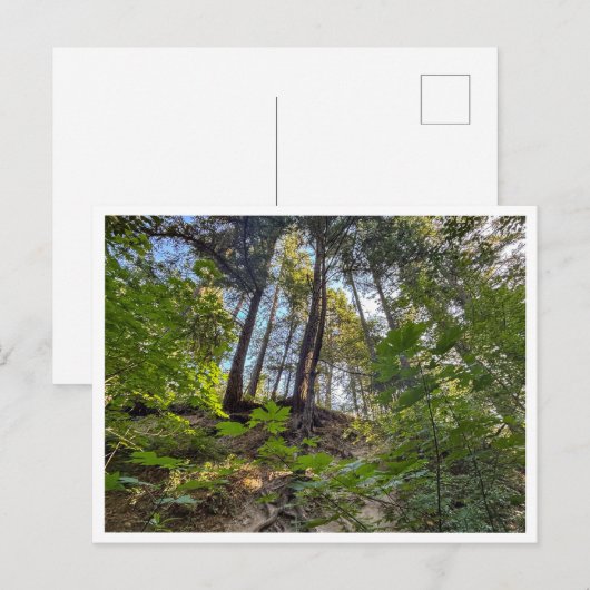 ヒルサイド ポストカード (正面/裏面)