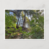 ヒルサイド ポストカード (正面)