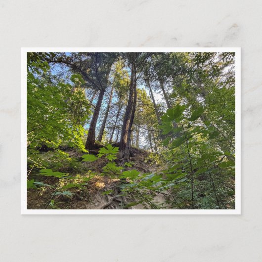 ヒルサイド ポストカード (正面)