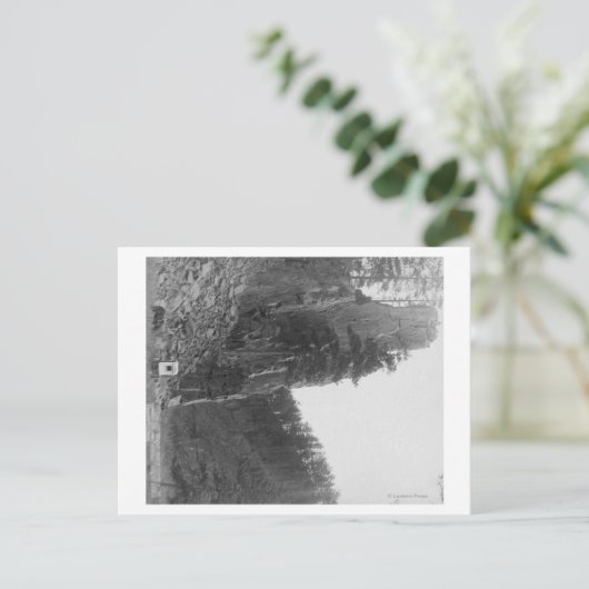 ヒルシティとロックビル間のキャッスルロック ポストカード (スタンド正面)