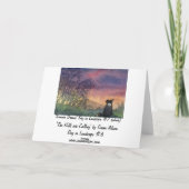 ヒルズが呼んでいる カード (裏面)