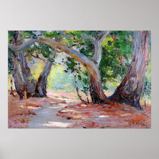 ヒルズサンシャインシャドウオレンジカウンティパーク ポスター (正面)