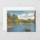 ヒルズボローリバータンパフロリダヴィンテージシーン ポストカード (正面/裏面)