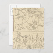 ヒルズボロCo，アムハースト，ベッドフォード ポストカード (正面/裏面)