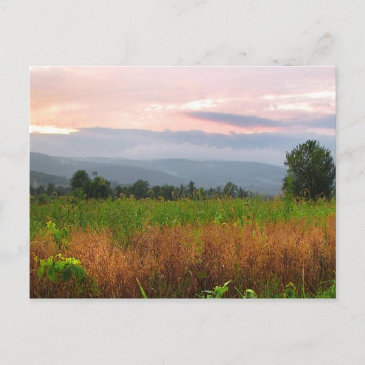 ヒルトップアットサンセット ポストカード (正面)