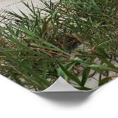 ヒルトンヘッドアイランドビーチサンダーストームボードウォーク ポスター (角)