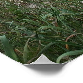 ヒルトンヘッドアイランドビーチサンダーストーム ポスター (角)