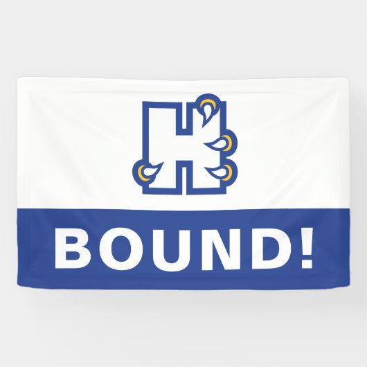 ヒルベルト大学 H 横断幕 (横)