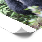 ヒルワグループ国立火山 ポスター (角)