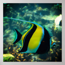 ヒレの長魚 ポスター