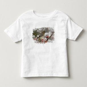 ヒレンジャクがハマナスの木にとまる雪景色 トドラーTシャツ