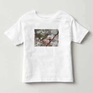 ヒレンジャクの成鳥がサンザシにとまる雪景色 トドラーTシャツ
