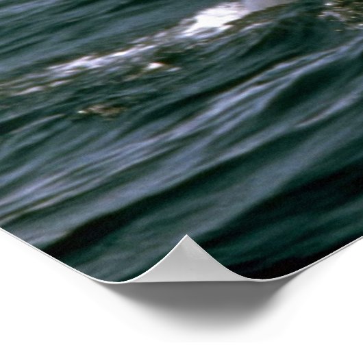 ヒレ ポスター (角)